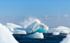 Wim Hof