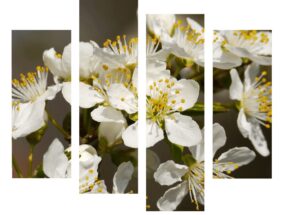 vászonkép nyomtatás