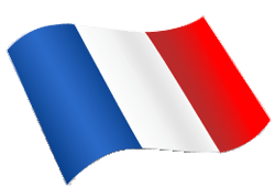 magyar francia fordító