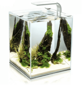 10l akvárium